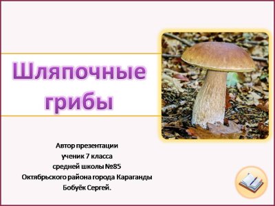 Рабочая программа 3 класс русский язык школа россии фгос