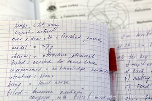 Знакомство учащихся с новыми лексическими единицами